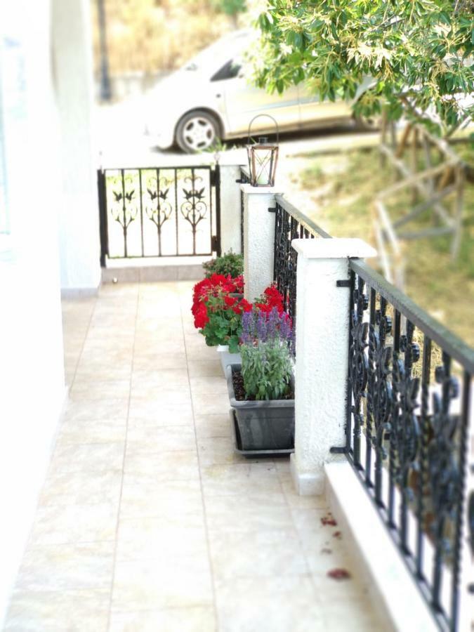 Villa Eleni Agnanti Ano Stavros Eksteriør billede